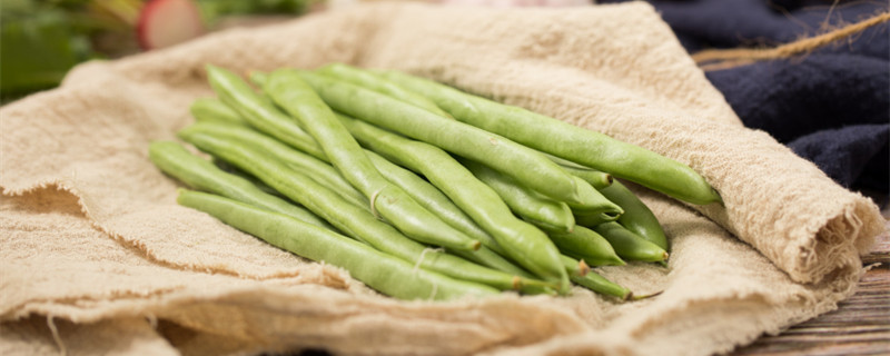 四季豆多久开花结果 四季豆能开几次花