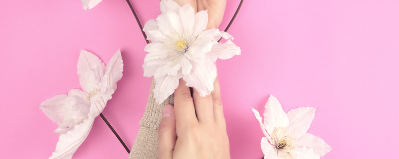 铁线莲花语 棉团铁线莲花语