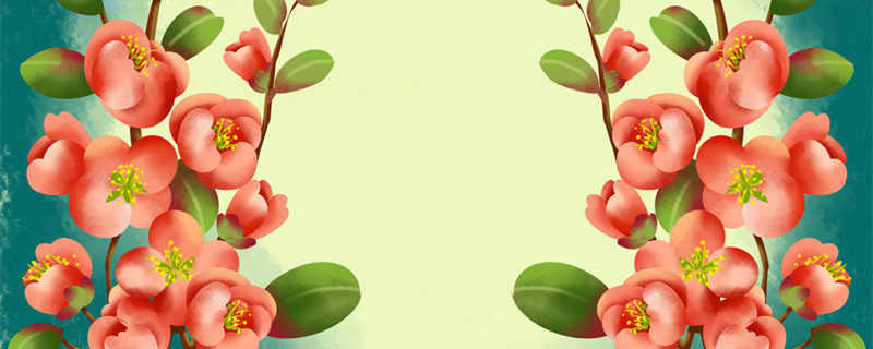 玻璃翠的养殖方法和注意事项 玻璃翠的养殖方法和注意事项有哪些