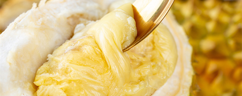 榴莲一次吃多少合适 榴莲一次吃多少合适?榴莲一天最多吃多少?