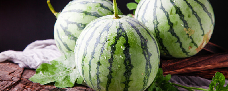 西瓜要打侧枝吗 西瓜需要打顶和剪枝吗