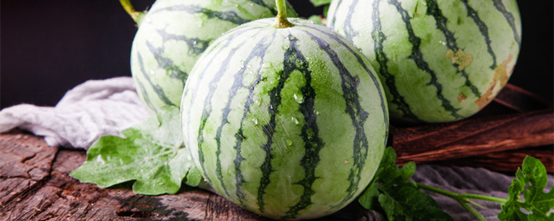 西瓜藤枯萎什么原因 西瓜藤干了枯萎是什么原因