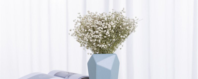 满天星的养殖方法和注意事项 木本满天星的养殖方法和注意事项