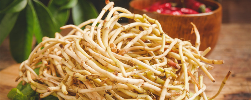 鱼腥草的食用方法 鱼腥草的食用方法是这样的