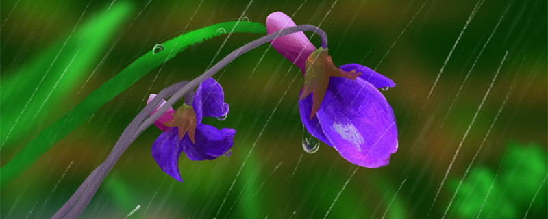 君子兰养殖技巧（君子兰养殖详细方法）