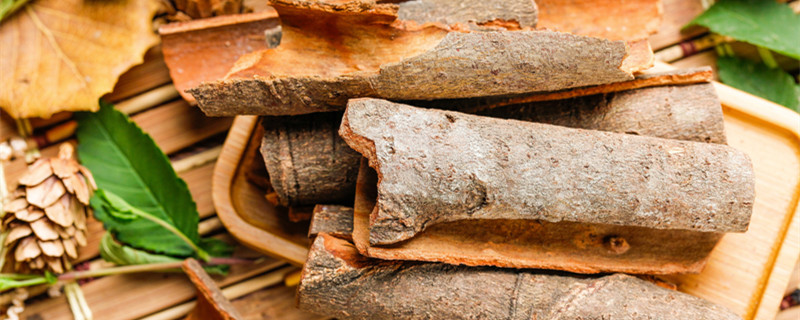 桂枝是什么树的枝（枝子是桂枝吗?）