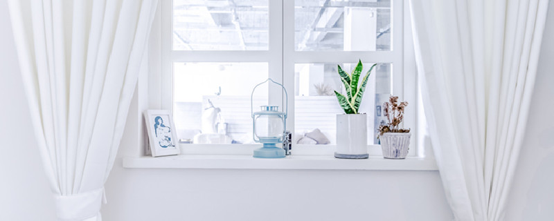 空气凤梨窗帘的制作及养护（冬季空调屋空气凤梨）