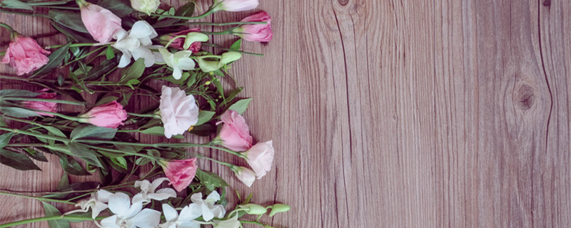 桔梗是什么东西 桔梗是什么东西的根