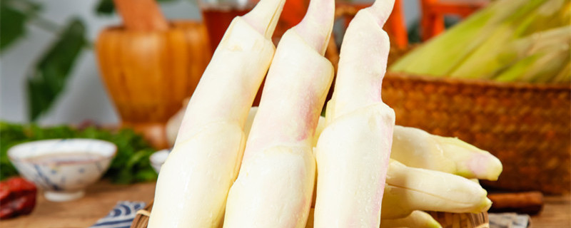 茭白是什么植物（茭白是什么植物?）