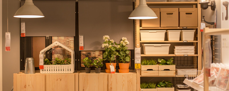 蟹爪兰浇水的正确方法(蟹爪兰应该怎么浇水)