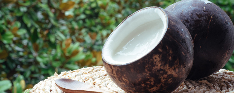 袖珍椰子怎么养 绿植袖珍椰子怎么养