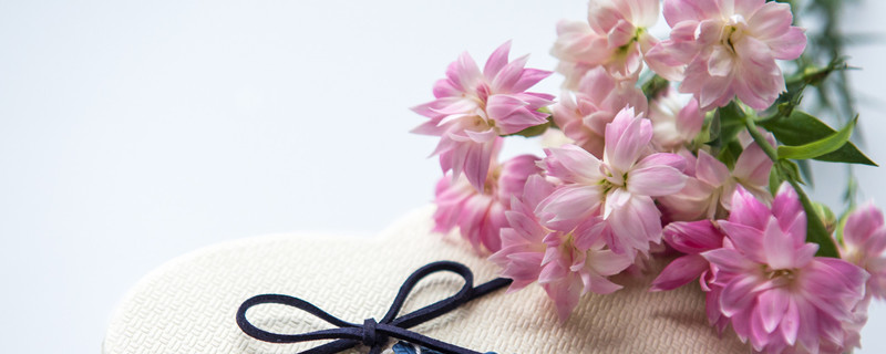 生日送花送什么花 孩子生日送花送什么花