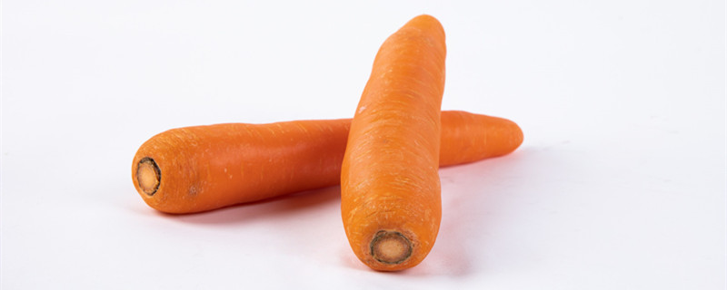 胡萝卜用什么繁殖 胡萝卜用什么繁殖的植物