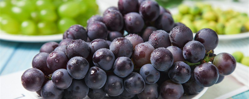 葡萄籽出的苗几年结果（葡萄籽种的葡萄几年结果）