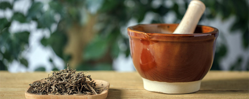 金枝玉叶花的养殖方法和注意事项 水培金枝玉叶花的养殖方法和注意事项