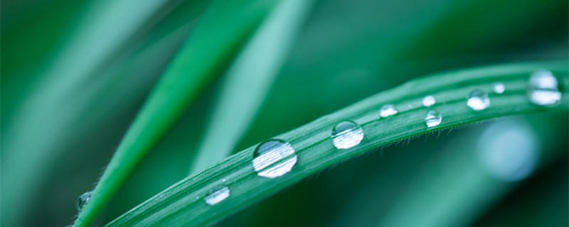 除草是什么季节 除草是什么季节做的农事