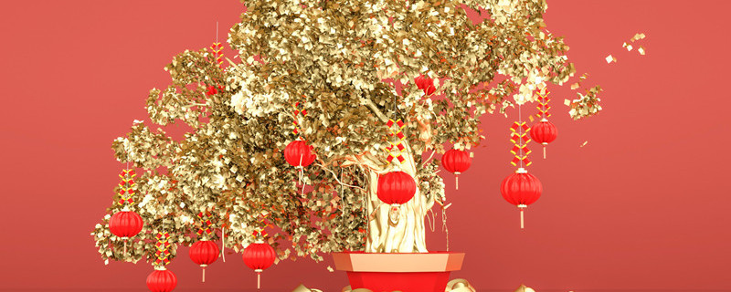 金钱树用水可以泡出根吗（金钱树泡水能生根吗）