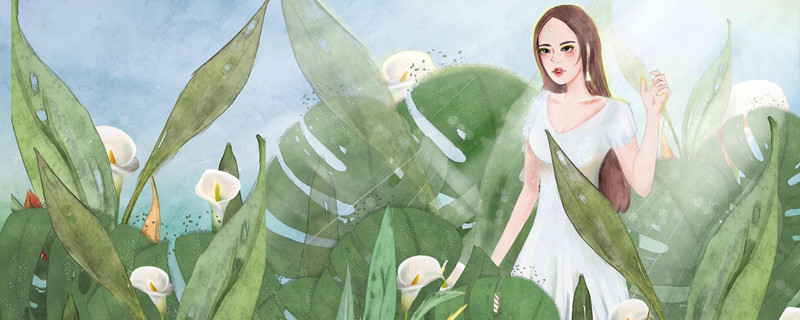 滴水观音的养殖方法 滴水观音的养殖方法和注意事项有哪些