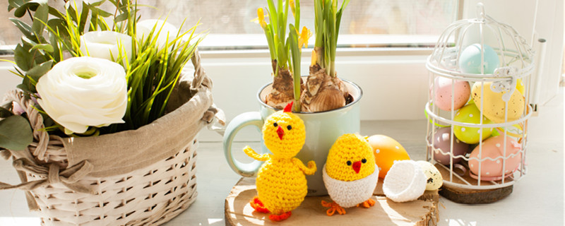 鸡蛋皮可以做什么植物的肥料 鸡蛋皮可以做肥料吗