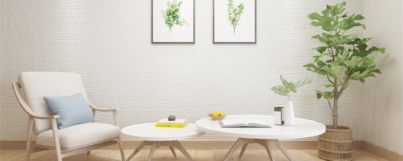 橡皮树放在哪里旺风水（橡皮树家里养有什么风水讲究）