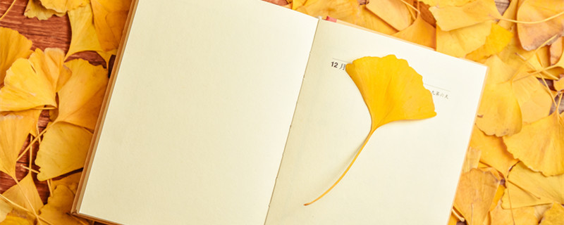 银杏树的特点有哪些 银杏树的特点有哪些把它写成作文该怎么写