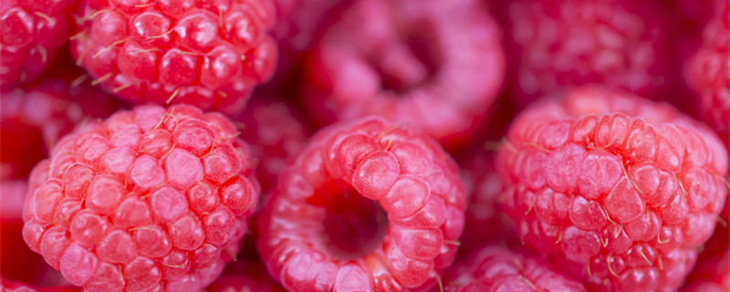 树莓的种植技术 树莓栽种技术