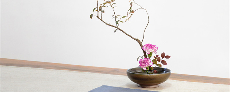 花泥插花每天要浇水吗 插花的花泥多久需要浇一次水