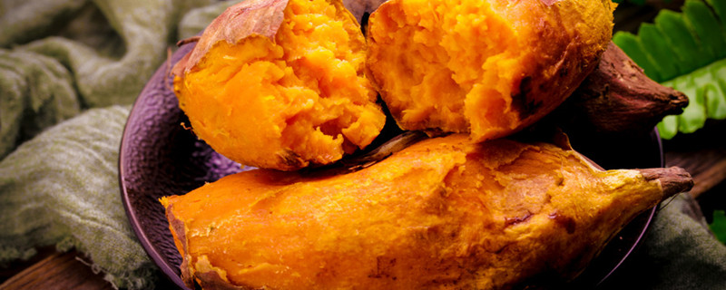 甘薯是茎繁殖还是根繁殖 甘薯主要靠什么繁殖