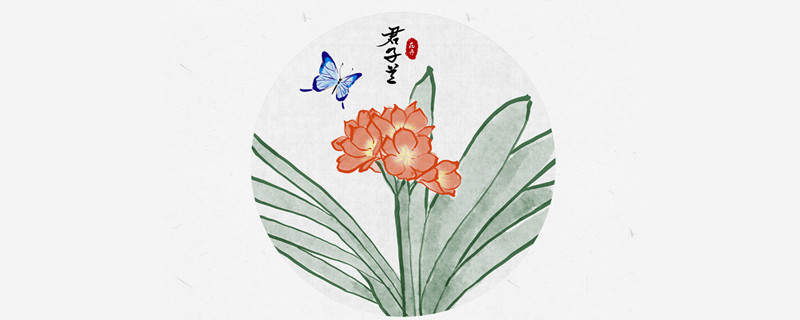 君子兰的养殖方法（君子兰的养殖方法和注意事项 盆栽）