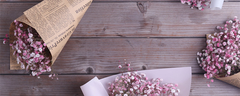 满天星撒多少粒种子 种满天星一次撒多少种子