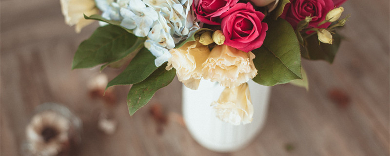 新手怎么学插花 零基础怎样自学插画