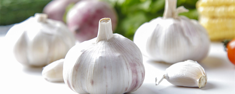 大蒜怎么保存不发芽（大蒜怎么保存时间长）