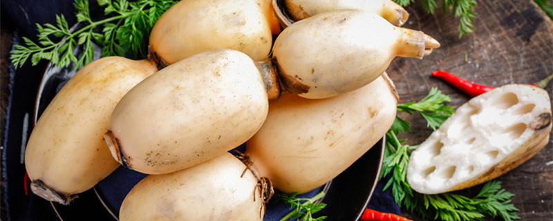 六月份种藕能活吗（秋天种藕能成活吗）