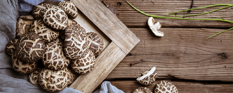 花菇是香菇吗（香菇与花菇区别在哪儿）