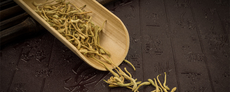 金银花泡水 金银花泡水给宝宝洗澡有什么效果