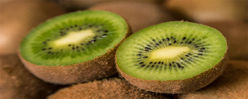 软枣猕猴桃能盆栽吗 盆栽软枣猕猴桃怎么种植