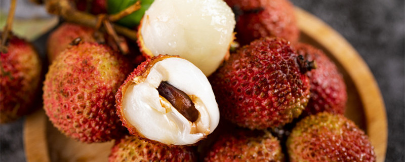 荔枝核发芽了怎么种(荔枝种子发芽了怎么种)