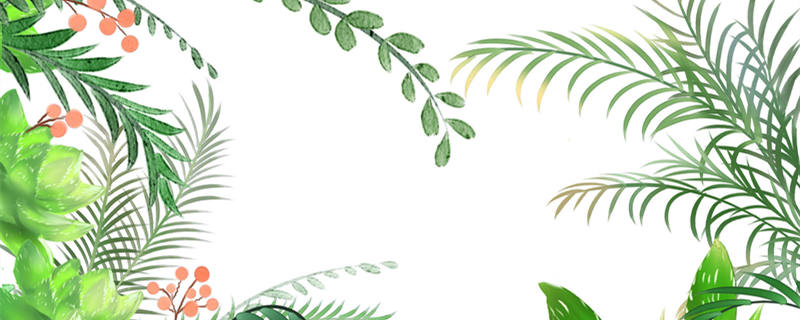 散尾葵的养殖方法和注意事项 水培散尾葵的养殖方法和注意事项