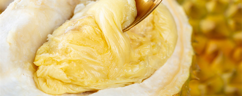 榴莲花束的花语 榴莲花束的花语是什么意思