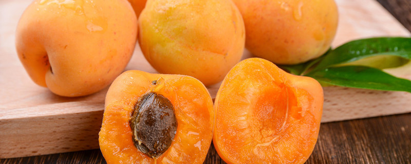 杏核种子砸开能种植吗（杏核怎么能种出杏树）