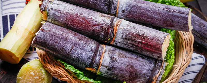 甘蔗几月种植 甘蔗几月种植北北方