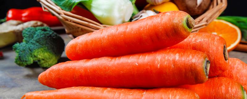 胡萝卜怎么种植,胡萝卜怎么种植方法