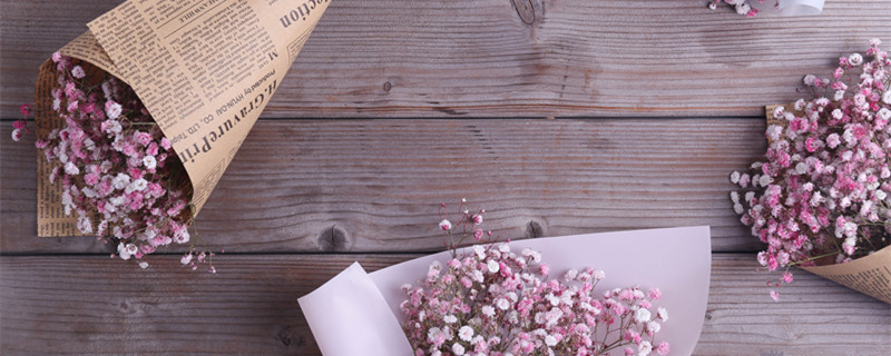 一束满天星代表什么意思 一束满天星大概多少钱