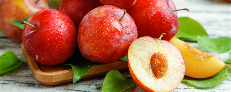 三华李种植技术（三华李种植技术管理视频）