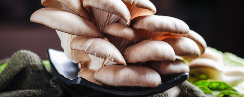 平菇室内栽培通风方法 平菇冬天养菌怎样通风