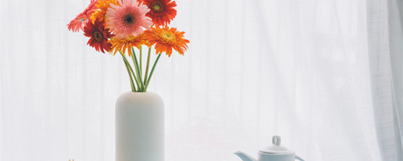 非洲菊耷拉了怎么办 非洲菊耷拉花头