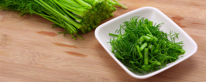 茴香在家种需要催芽吗（茴香浸种催芽）