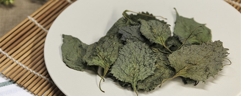 紫苏的种植和繁殖方法(紫苏的种植技术和栽培)