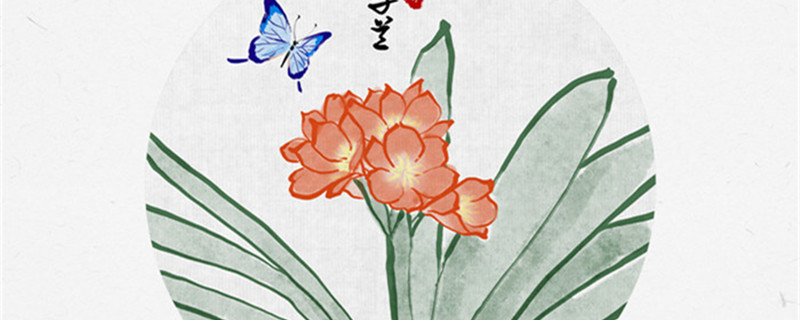 君子兰浇水方法（君子兰 怎么浇水）