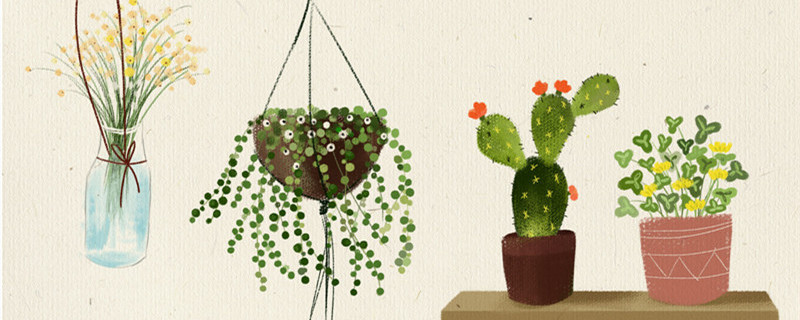 蟹爪兰冬天怎么养(蟹爪兰冬天怎么养殖)